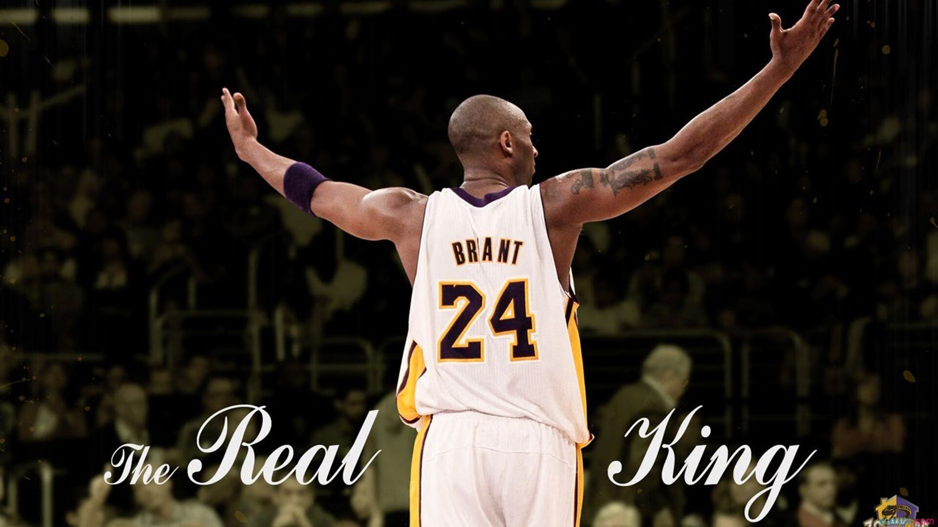 爱体育娱乐入口-凯蒂·莱德基耐力训练成果显著，莱德基多强